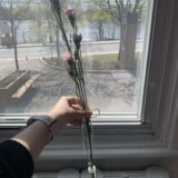https://loisirsbonpasteur.com/wp-content/uploads/2026/05/3cd516fc-c33d-4d51-b1a6-32a966a76dd8-160x160.jpg